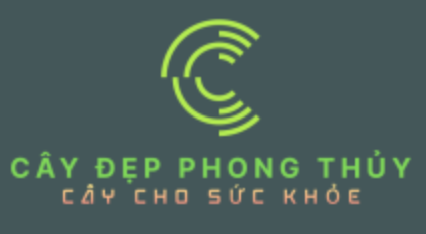 Cây Đẹp Phong Thủy